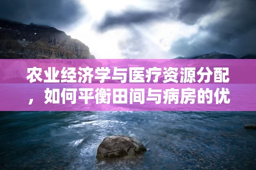 农业经济学与医疗资源分配，如何平衡田间与病房的优先次序？
