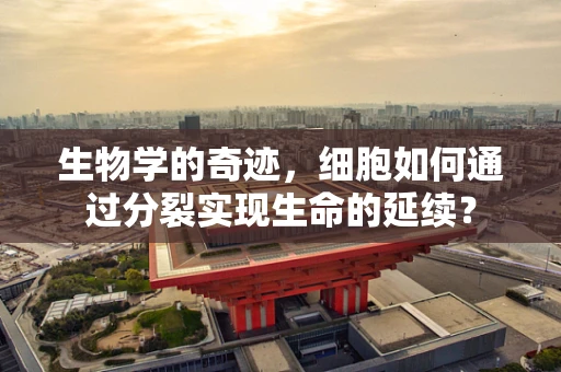 生物学的奇迹，细胞如何通过分裂实现生命的延续？