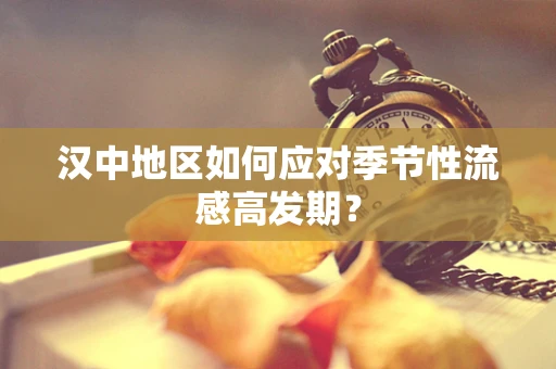 汉中地区如何应对季节性流感高发期？