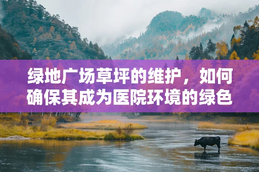 绿地广场草坪的维护，如何确保其成为医院环境的绿色屏障？