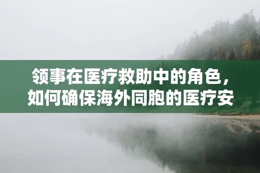 领事在医疗救助中的角色，如何确保海外同胞的医疗安全？
