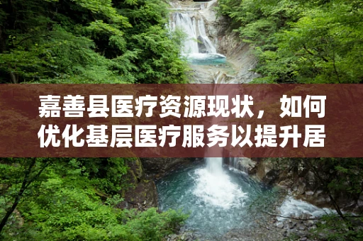 嘉善县医疗资源现状，如何优化基层医疗服务以提升居民健康水平？