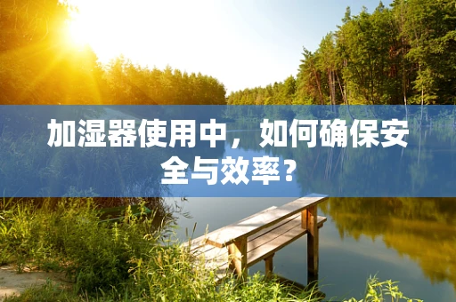 加湿器使用中，如何确保安全与效率？