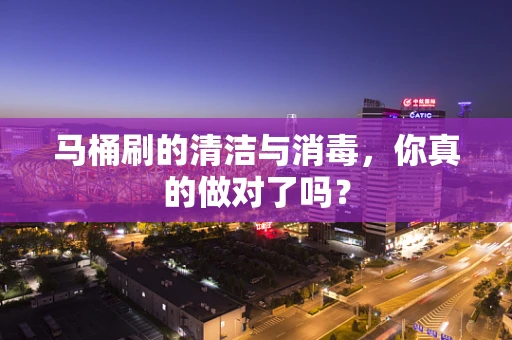 马桶刷的清洁与消毒，你真的做对了吗？