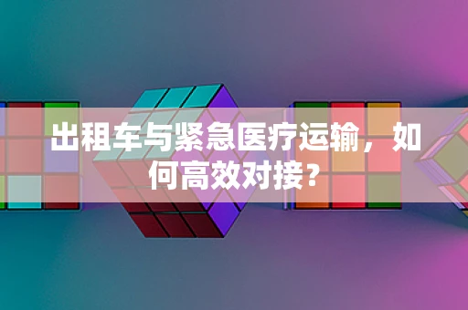 出租车与紧急医疗运输，如何高效对接？