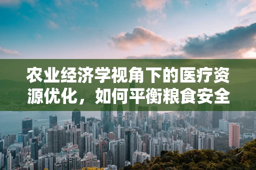 农业经济学视角下的医疗资源优化，如何平衡粮食安全与健康服务？