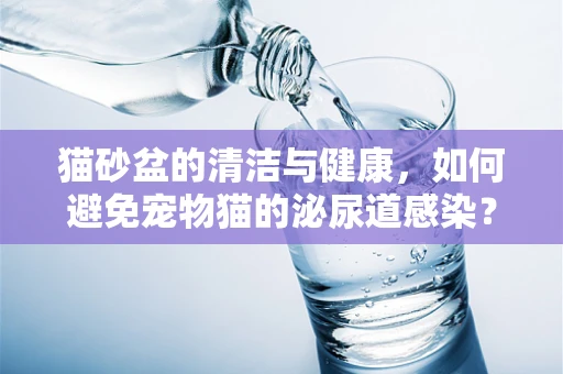 猫砂盆的清洁与健康，如何避免宠物猫的泌尿道感染？