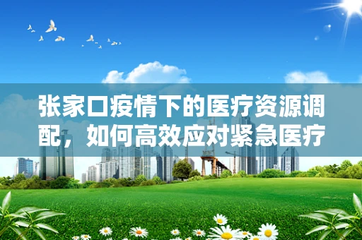 张家口疫情下的医疗资源调配，如何高效应对紧急医疗需求？