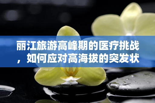 丽江旅游高峰期的医疗挑战，如何应对高海拔的突发状况？