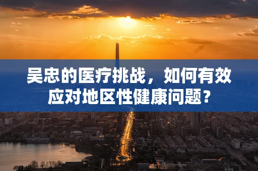 吴忠的医疗挑战，如何有效应对地区性健康问题？