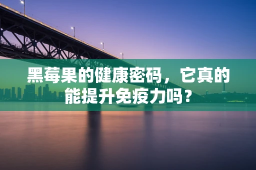 黑莓果的健康密码，它真的能提升免疫力吗？