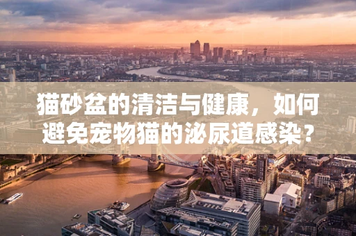 猫砂盆的清洁与健康，如何避免宠物猫的泌尿道感染？