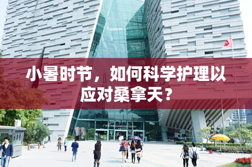 小暑时节，如何科学护理以应对桑拿天？