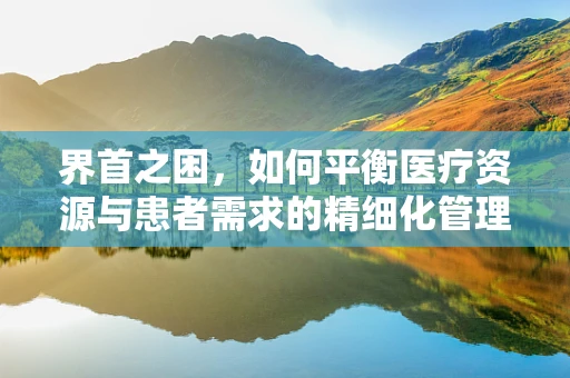 界首之困，如何平衡医疗资源与患者需求的精细化管理？