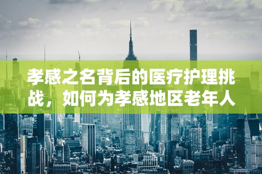 孝感之名背后的医疗护理挑战，如何为孝感地区老年人提供更贴心的医疗服务？
