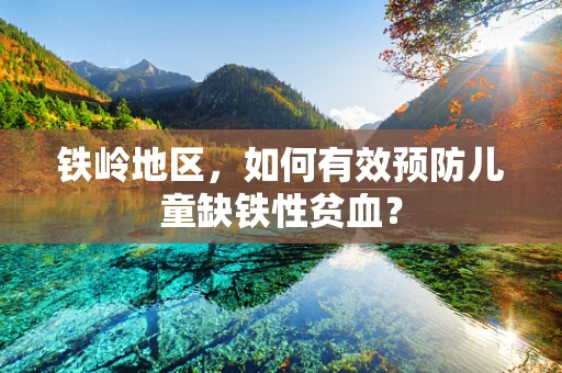 铁岭地区，如何有效预防儿童缺铁性贫血？