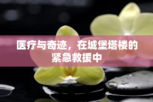 医疗与奇迹，在城堡塔楼的紧急救援中