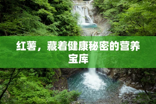 红薯，藏着健康秘密的营养宝库