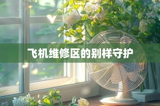 飞机维修区的别样守护