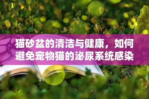 猫砂盆的清洁与健康，如何避免宠物猫的泌尿系统感染？