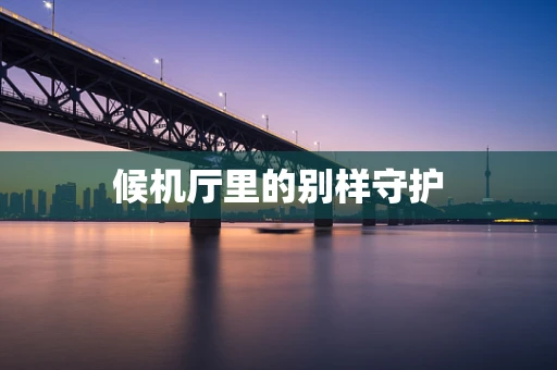 候机厅里的别样守护
