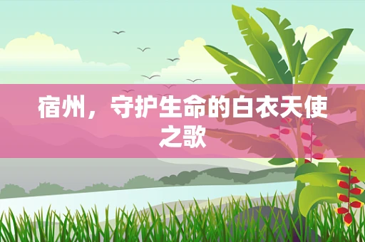 宿州，守护生命的白衣天使之歌