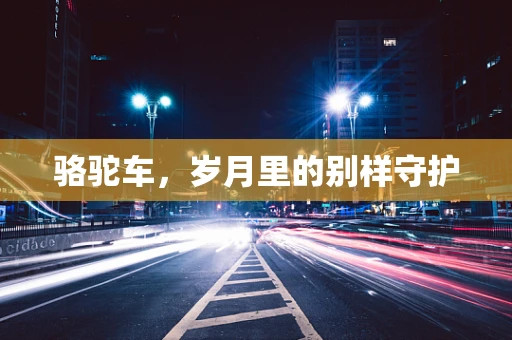 骆驼车，岁月里的别样守护