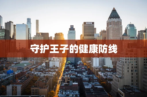 守护王子的健康防线