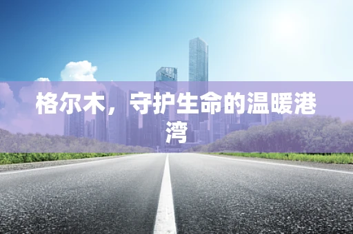 格尔木，守护生命的温暖港湾