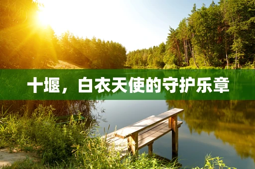 十堰，白衣天使的守护乐章