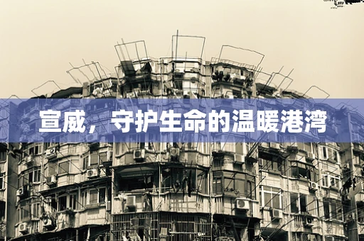 宣威，守护生命的温暖港湾