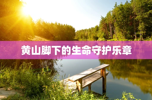 黄山脚下的生命守护乐章