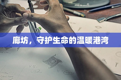 廊坊，守护生命的温暖港湾