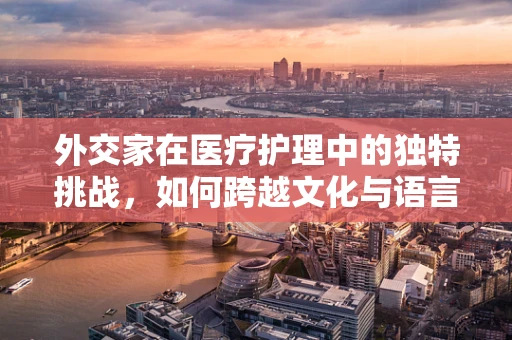 外交家在医疗护理中的独特挑战，如何跨越文化与语言的鸿沟？