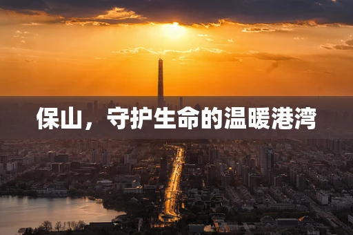 保山，守护生命的温暖港湾