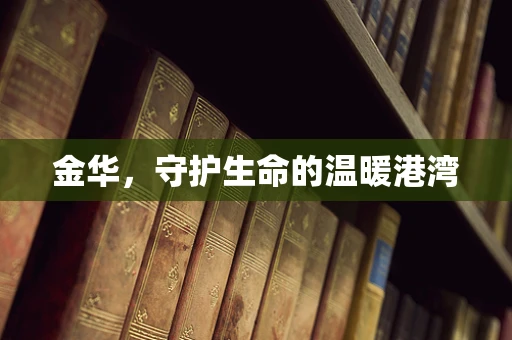 金华，守护生命的温暖港湾