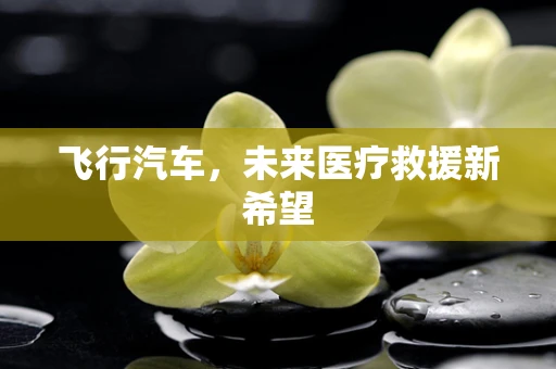 飞行汽车，未来医疗救援新希望