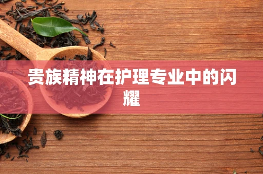 贵族精神在护理专业中的闪耀