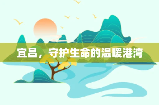 宜昌，守护生命的温暖港湾