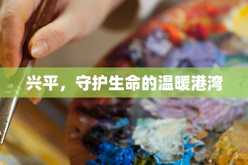 兴平，守护生命的温暖港湾