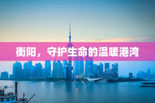 衡阳，守护生命的温暖港湾