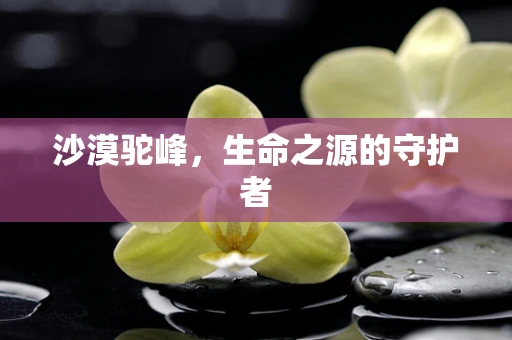 沙漠驼峰，生命之源的守护者