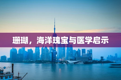 珊瑚，海洋瑰宝与医学启示