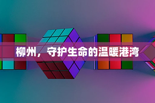 柳州，守护生命的温暖港湾