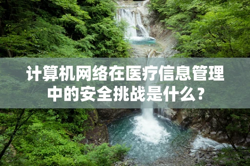 计算机网络在医疗信息管理中的安全挑战是什么？