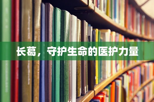 长葛，守护生命的医护力量