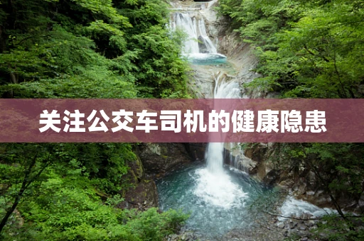 关注公交车司机的健康隐患