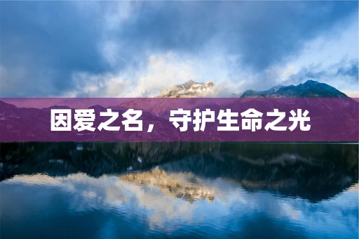 因爱之名，守护生命之光