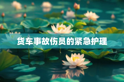货车事故伤员的紧急护理