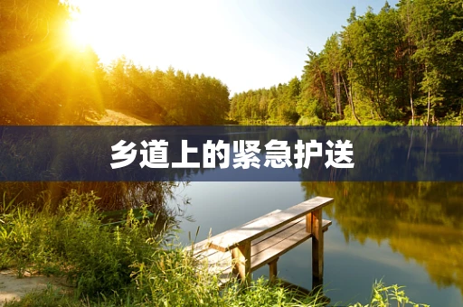 乡道上的紧急护送